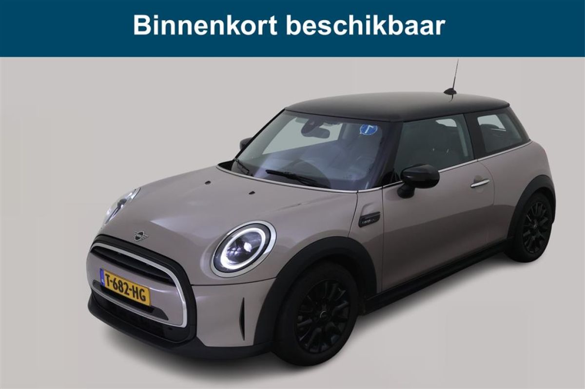 Mini MINI