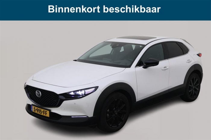 _Kenteken_S9_15_FF_3540232_B1.c7d1451f16bc4ed8b39dc2c642c0cb5f